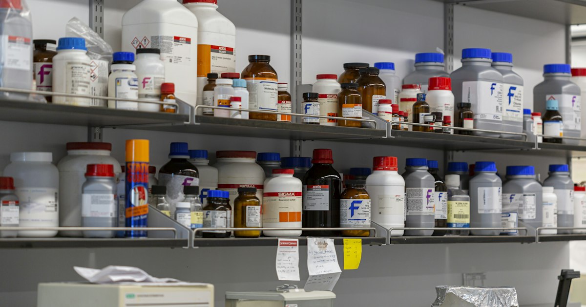 Acetylsalicylic Acid (Low Doses): What the Clinical Studies Show
